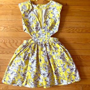 Mustard Seed party dress